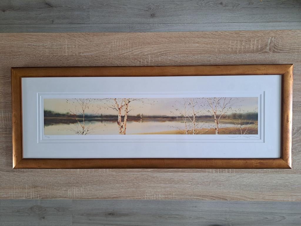 Ged Mitchell Landscape VII Gelimiteerd & Gecertificeerd, Ophalen