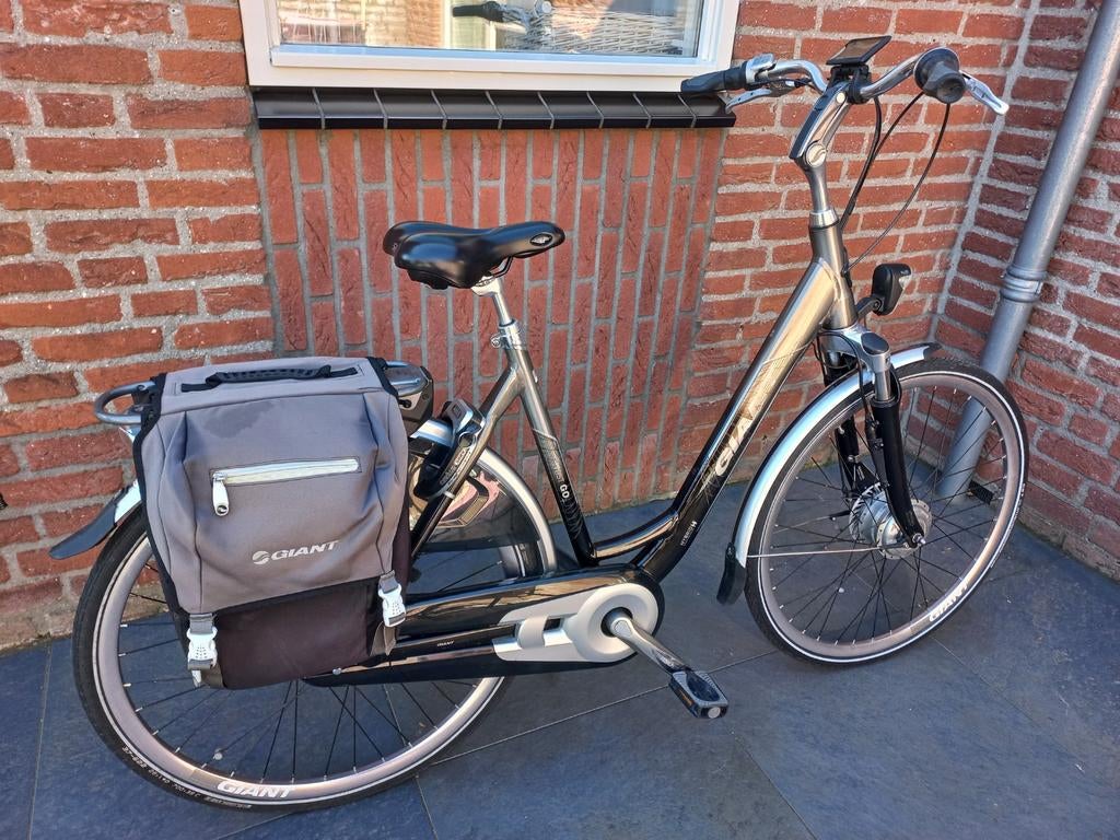 Giant twist go,  740km,   Uniek!, Ophalen, Zo goed als nieuw, Overige merken