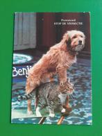 F/ Hond en kat. 1987, Verzenden, 1980 tot heden, Gelopen, Hond of Kat