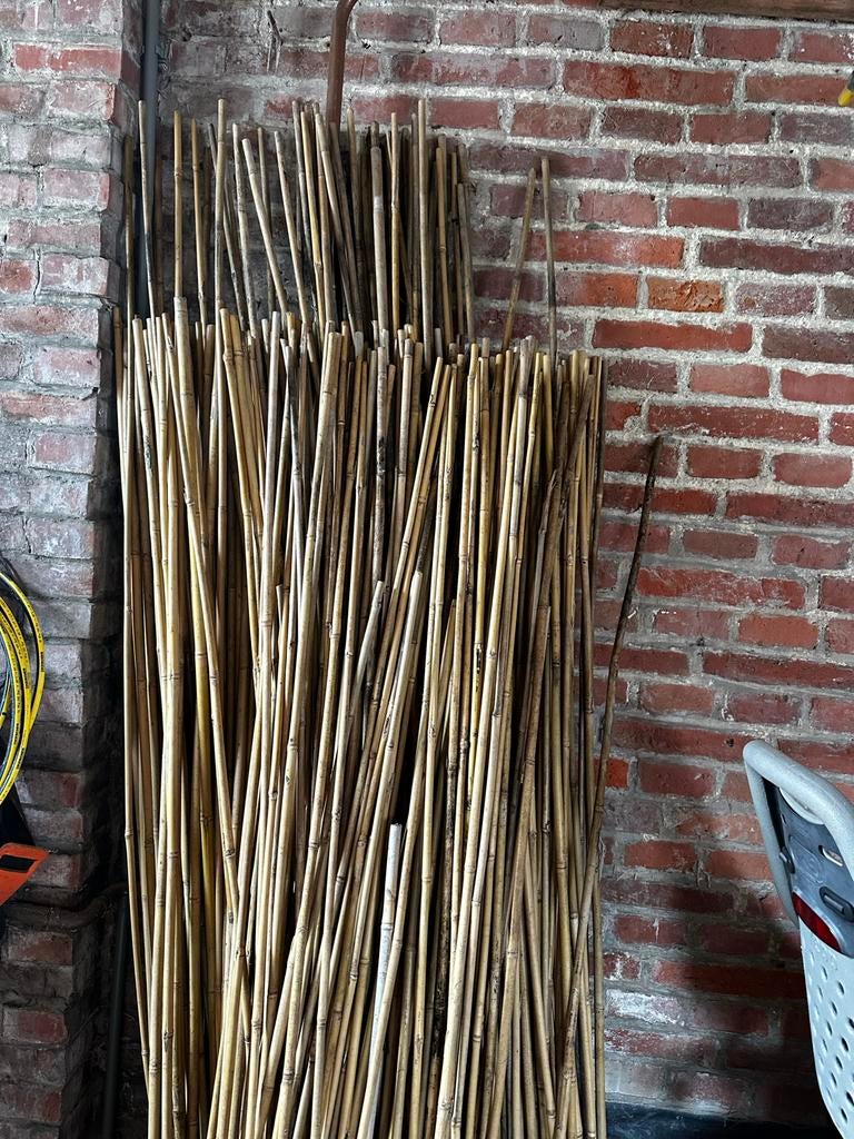 Bamboe stokken - Gemiddeld 1,50m hoog - 5 stuks, Ophalen, Gebruikt, Minder dan 180 cm, Overige typen