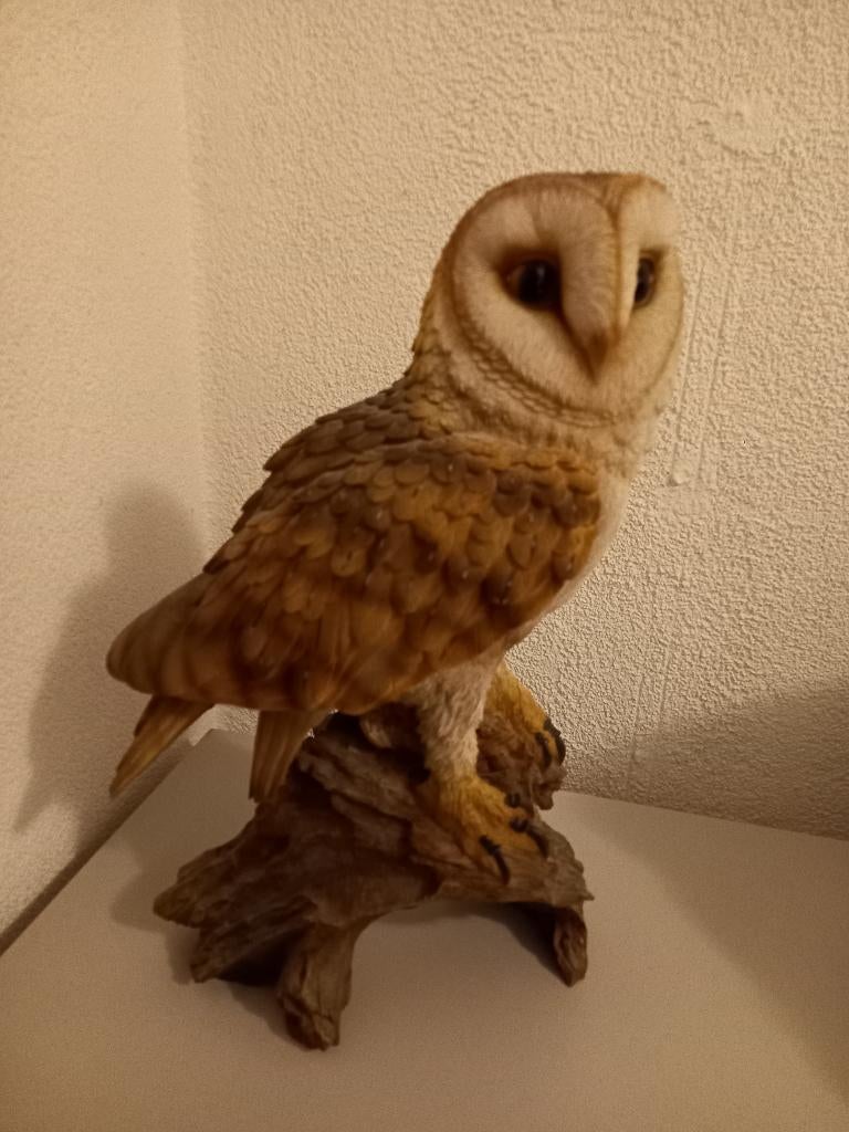 kerk uil op boomstronk, Ophalen, Zo goed als nieuw, Dier