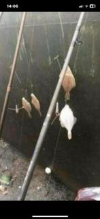 Paternoster vislijn schar wijting 10st €15,95 gratis verzend, Ophalen of Verzenden, Nieuw, Vislijn