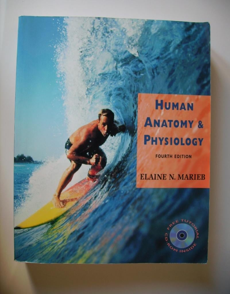 Human Anatomy & Physiology , Elaine N. Marieb, Boeken, Studieboeken en Cursussen, Ophalen of Verzenden, Elaine N. Marieb, Beta