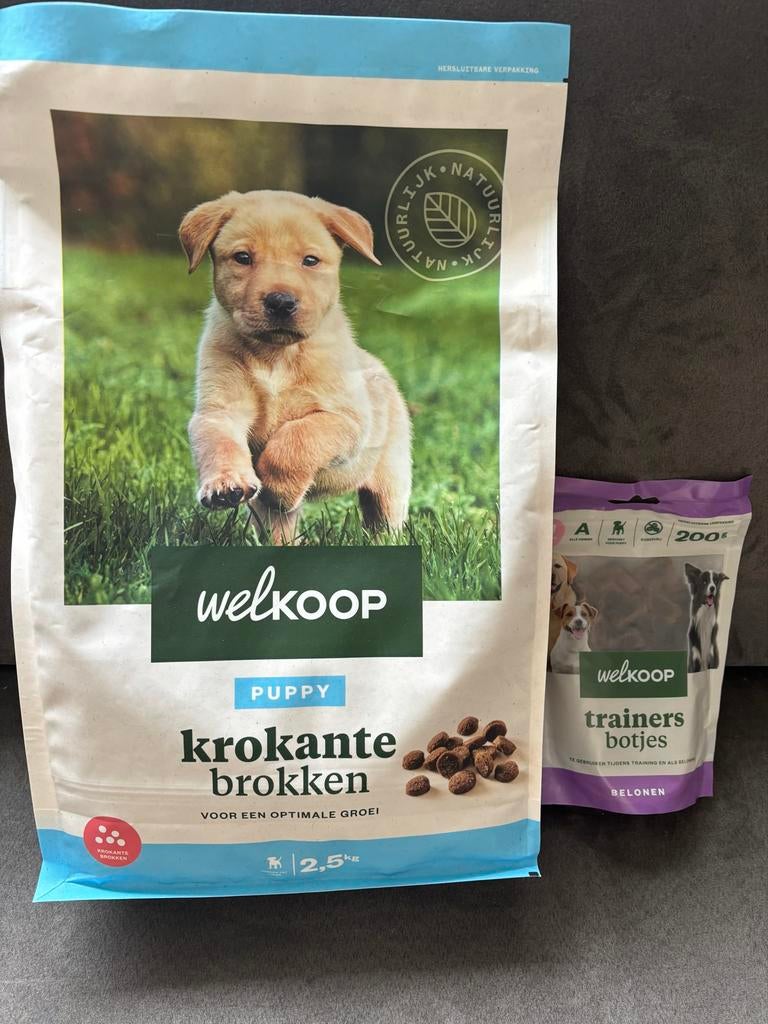 Welkoop puppy brokken 2,5 kg, Ophalen of Verzenden, Hond