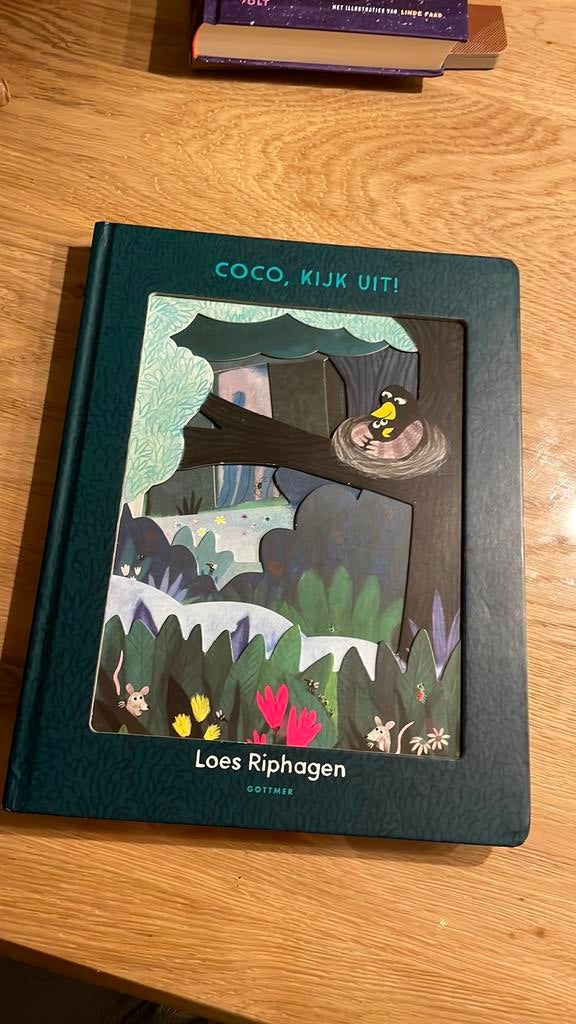 Coco kijk uit!! - Loes Riphagen (mooi kinderboek!), Boeken, Ophalen of Verzenden, Zo goed als nieuw