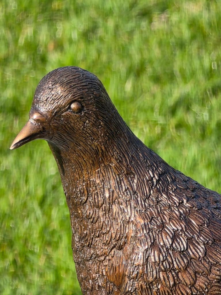 DUIF / BRONZEN TUINBEELD, Dierenbeeld, Nieuw, Info@huisentuindecoratiemarie.nl, Huis en tuin decoratie marie
