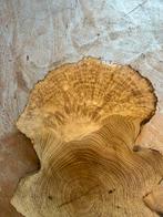 Acacia Burl, Antiek en Kunst, Ophalen of Verzenden