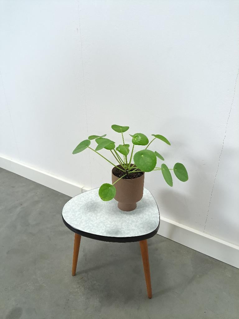 Bijzettafel plantentafel met wit lichtblauw formica, Vintage, Gebruikt, Meerkleurig, Overige materialen