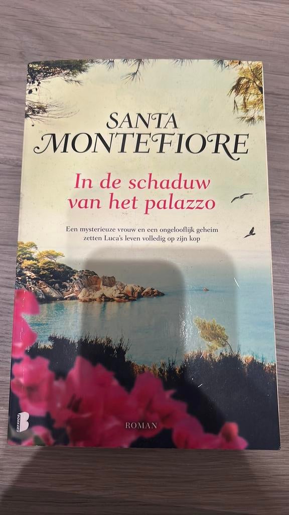 Santa Montefiore - In de schaduw van het palazzo, Ophalen of Verzenden, Gelezen