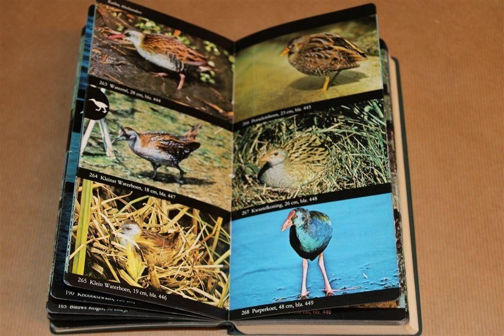Kosmos Vogelveldgids van Europa — Zeer Uitgebreid [760 pag], Boeken, Ophalen of Verzenden, Gelezen, Paarden of Pony's