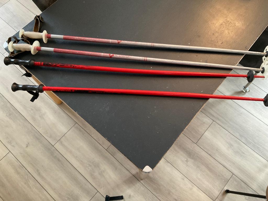 Skischoenen, Ophalen, 160 tot 180 cm, Gebruikt, Schoenen