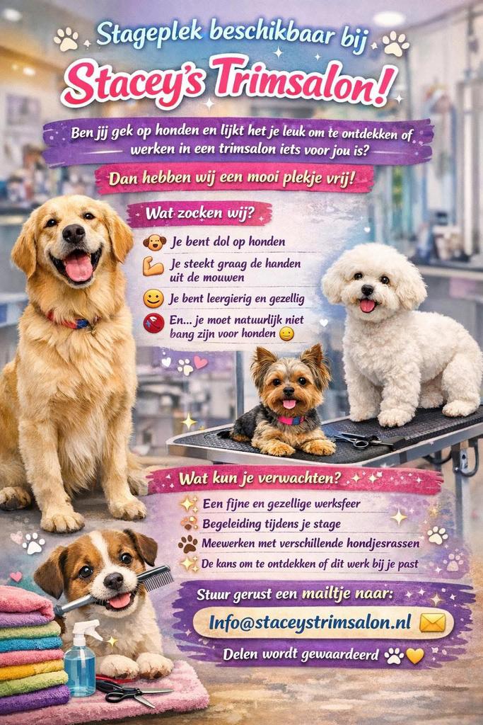Stacey’s Trimsalon zoekt Stagiaire, Tot en met 24 uur, MBO, Starter, Stage