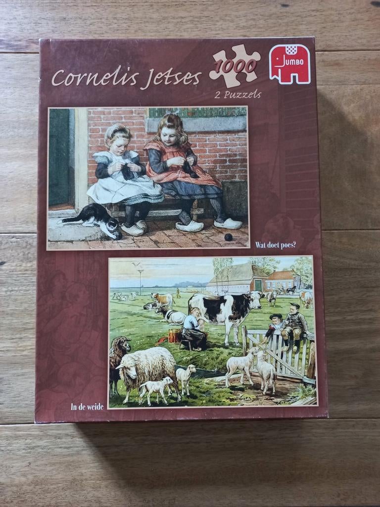 2x puzzel 1000 stukjes, Hobby en Vrije tijd, Denksport en Puzzels, Ophalen of Verzenden, 500 t/m 1500 stukjes, Zo goed als nieuw