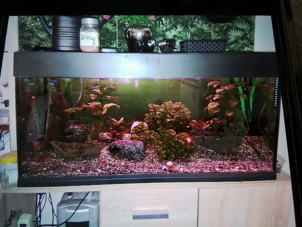Te koop aangeboden aquarium  compleet, Dieren en Toebehoren, Ophalen, Inclusief toebehoren, Leeg aquarium