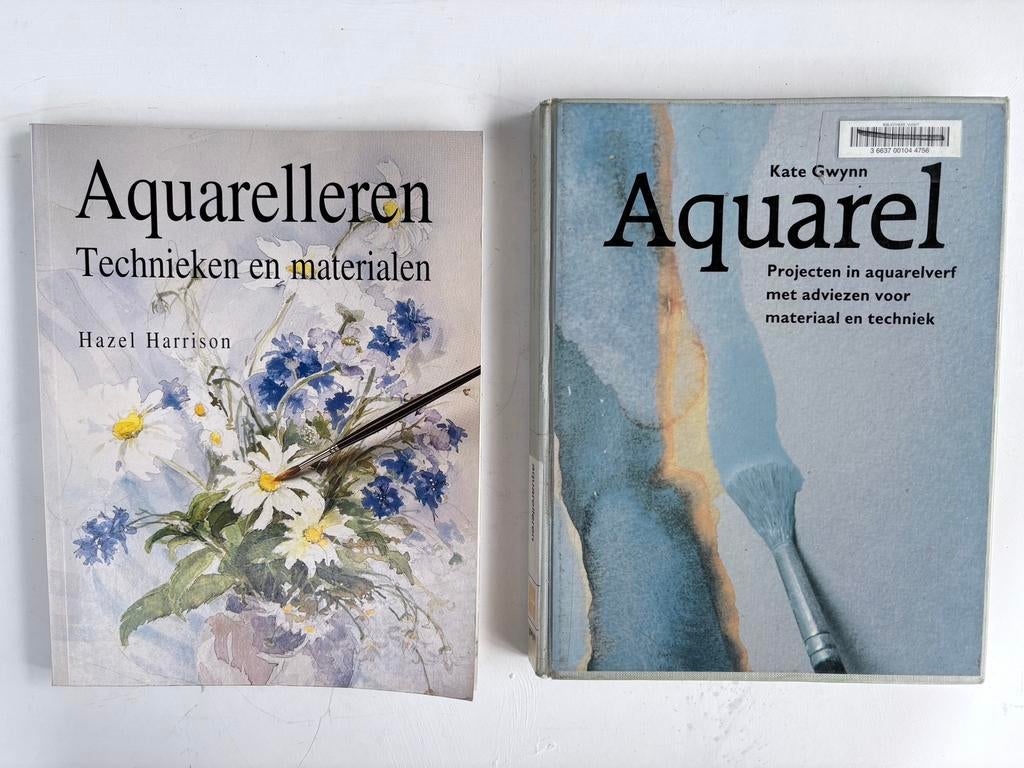 PASTELKRIJT /PASTELBOEKEN / PASTELMEDIUM. ETC., Ophalen of Verzenden, Zo goed als nieuw