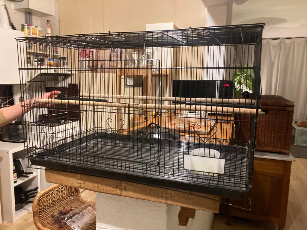 Grote vogelkooi, Ophalen, Gebruikt, Metaal, Vogelkooi