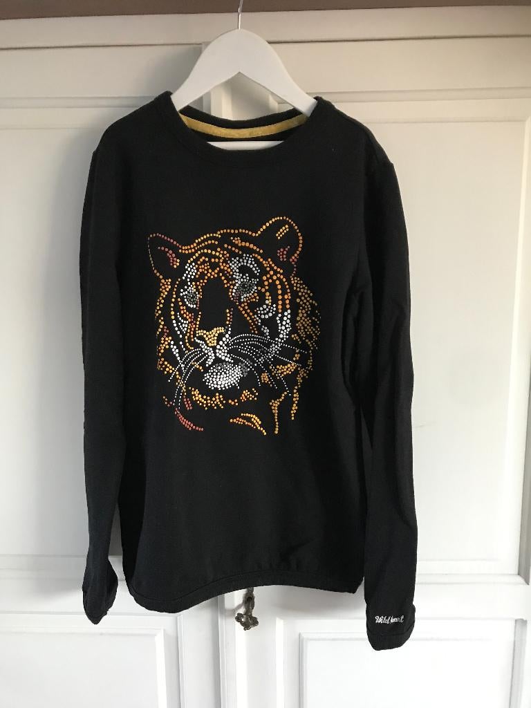 leuke sweater (WE) 146/152, Kinderen en Baby's, Kinderkleding | Maat 146, WE, Meisje, Ophalen of Verzenden, Zo goed als nieuw