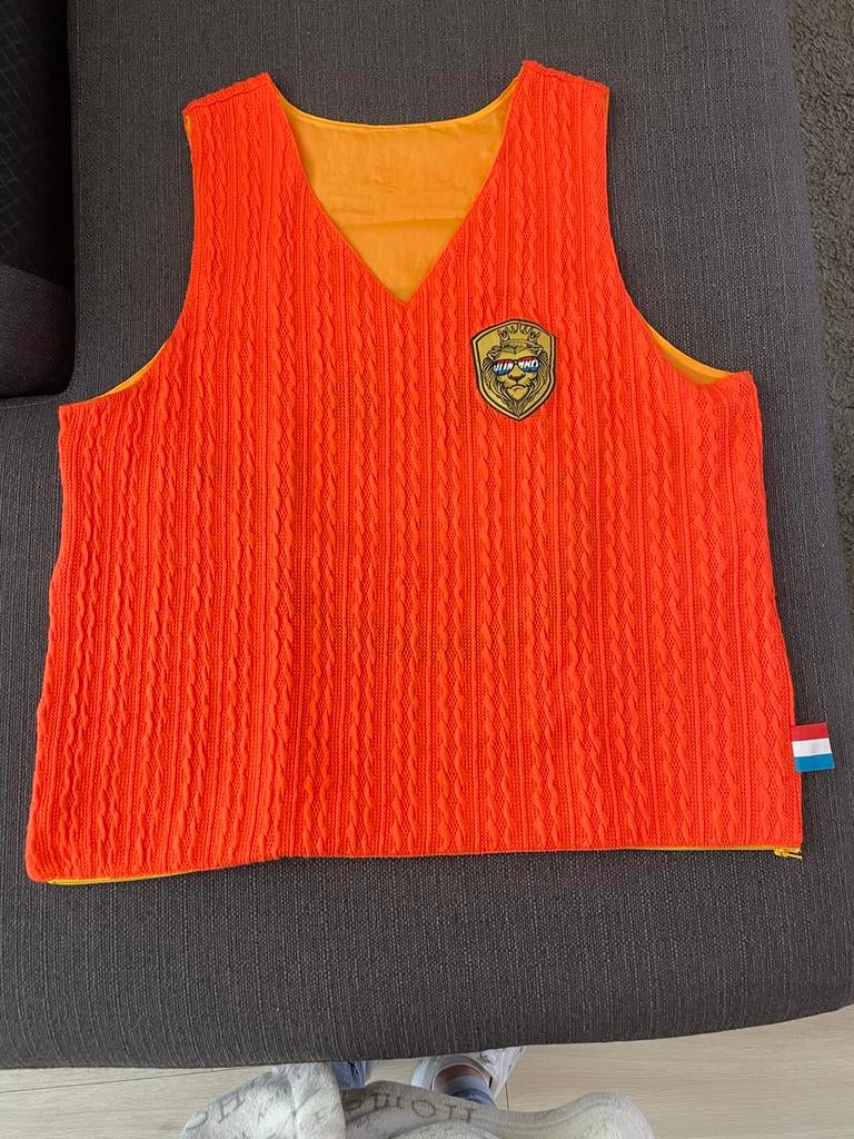 Jumbo Oranje Hesje - Omkeerbaar met Leeuw en Smiley, Kleding | Dames, Carnavalskleding en Feestkleding, Oranje of Koningsdag, Zo goed als nieuw
