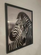 Zebra moeder en kind - Ingelijste zwart-wit print, Ophalen of Verzenden, Zo goed als nieuw, Print, 50 tot 75 cm