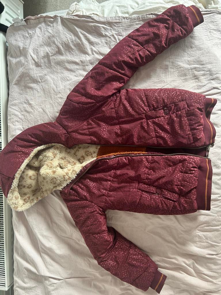 Omkeerbare winterjas met teddy voering, Kleding | Dames, Jassen | Winter, Ophalen of Verzenden, Gedragen, Maat 34 (XS) of kleiner