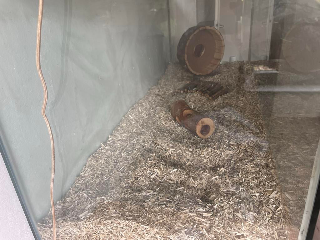 Aquarium, terrarium of grote kooi, Ophalen, Leeg aquarium