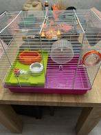 Hamsterkooi te koop, Kooi, Minder dan 75 cm, Zo goed als nieuw, Hamster