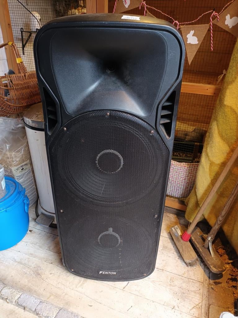 Portable party speaker van Fenton, Gebruikt, Overige typen, Minder dan 60 watt, Ophalen