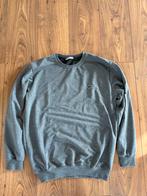Grijze sweater - valt als XL, Kleding | Heren, Truien en Vesten, Ophalen of Verzenden, Gedragen, Maat 56/58 (XL), Grijs