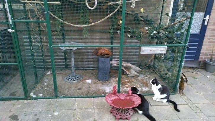 Voliere, Ophalen, Gebruikt, Aluminium, Volière