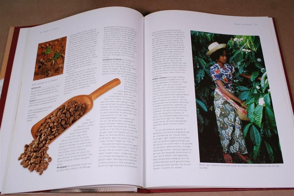 Koffie Handboek — Recepten & info — Groot, veel ill., Ophalen of Verzenden, Zo goed als nieuw, Italië