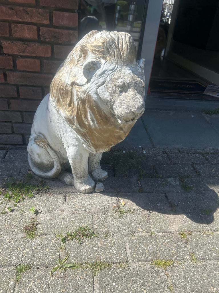 Decoratieve Stenen Leeuw voor Tuin of Entree, Weerbestendig, Zoogdier, Steen of Keramiek, Beeld
