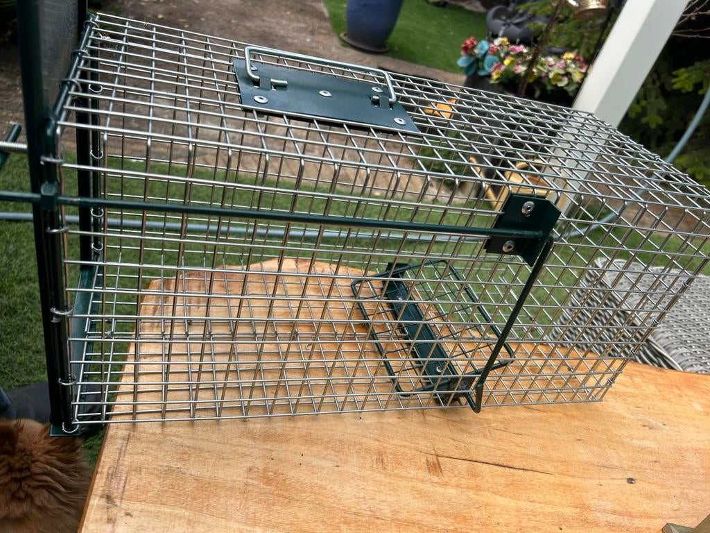 Kattenvang kooi, Dieren en Toebehoren, Knaagdieren en Konijnen | Hokken en Kooien, Minder dan 60 cm, Kooi, Minder dan 75 cm, Ophalen of Verzenden