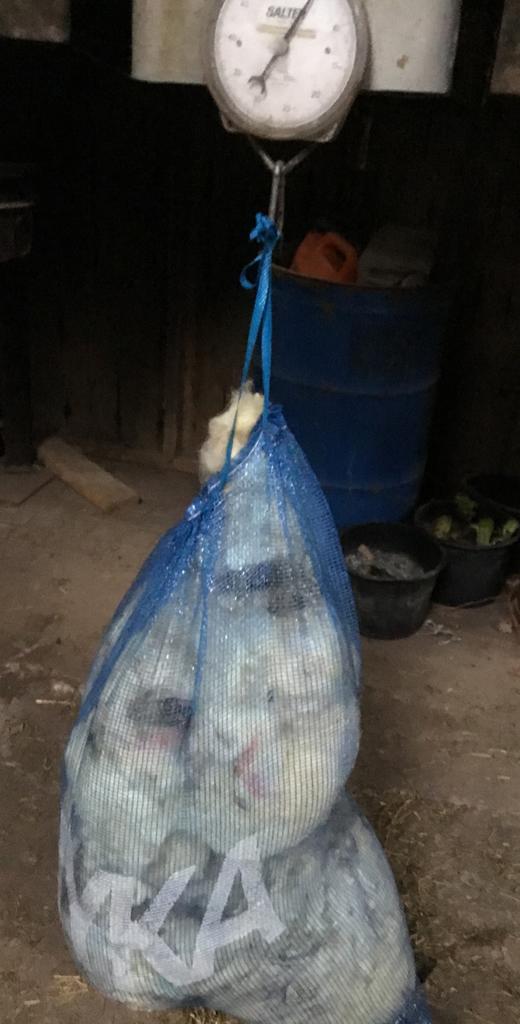 Wol, Tuin en Terras, Aarde en Mest, Overige typen, Ophalen