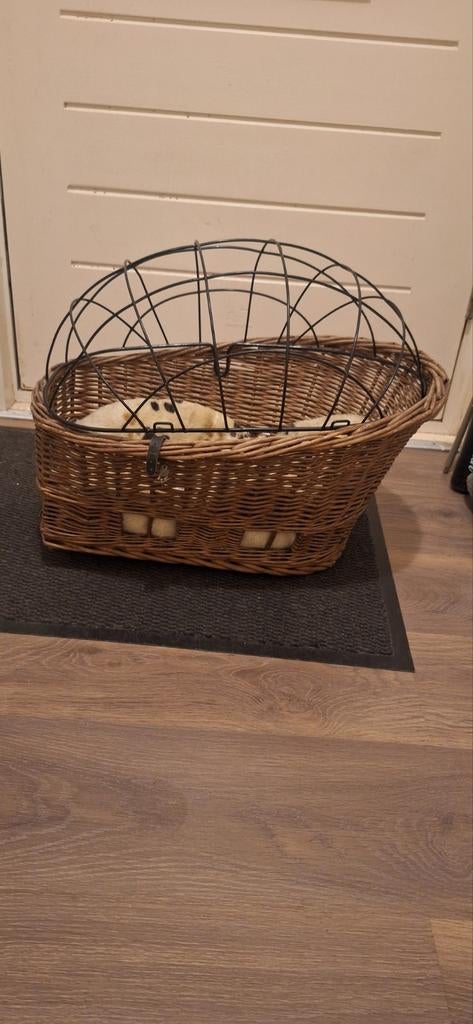 Honden fietsmand, Fietsen en Brommers, Fietsaccessoires | Fietsmanden, Ophalen, Gebruikt, Fietsmand