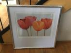 Ingelijste zeefdruk van tulpen - Britta Hansen, Ophalen