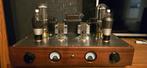 Tube amp 805 TRIODE-CLASS A Singel Ended, Ophalen of Verzenden, Versterker