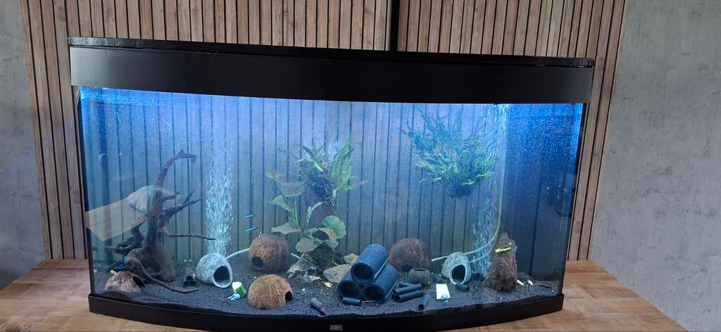Juwel vision 260L, Dieren en Toebehoren, Vissen | Aquaria en Toebehoren, Ophalen, Gebruikt, Leeg aquarium, Verwarming
