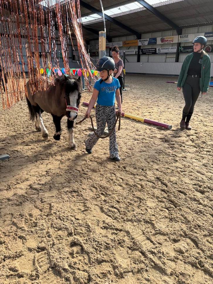 Welsh A merrie – Alison (25 jaar), Dieren en Toebehoren, Pony's, Merrie, B, B pony (1.17m tot 1.27m), Recreatiepony, 11 jaar of ouder