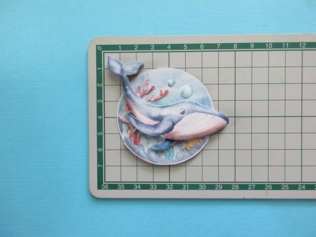 y476 Vis, Verzenden, Nieuw, Overige thema's, Overige typen