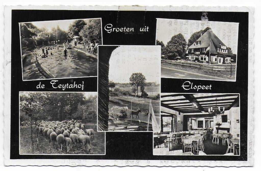 Elspeet De Feijtahof Gelopen ansichtkaart ( B7208), Ophalen of Verzenden, 1960 tot 1980, Gelopen
