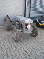 Ferguson TEF Diesel Oldtimer Bj: 1953 28 pk, Tot 2500, Oldtimer, Ophalen of Verzenden, Tot 80 Pk