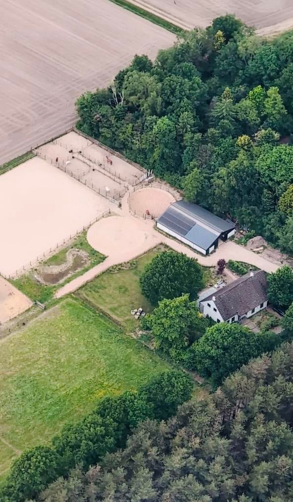 Stalling | Pensionstal in bosrijke omgeving, Weidegang, 1 paard of pony