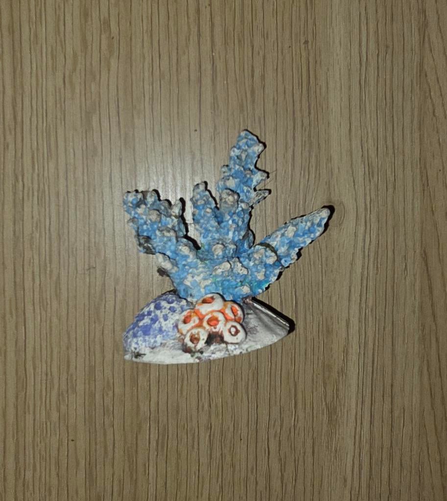 Ornamentje aquarium blauw, Ophalen