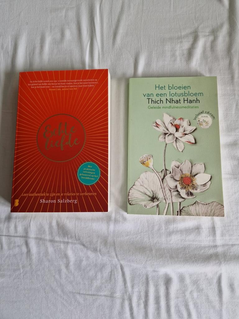 Boeddhisme en Mindfulnessmeditatie, Boeken, Esoterie en Spiritualiteit, Ophalen of Verzenden, Meditatie of Yoga