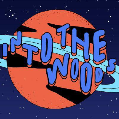 4 tickets Into the woods festival zaterdag + ITW ADE vrijdag, Tickets en Kaartjes, Concerten | Pop, Drie personen of meer, September