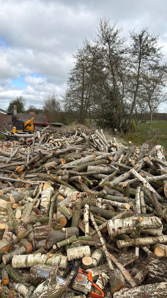 Haardhout, 6 m³ of meer, Ophalen, Stammen