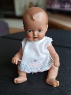 Schildkröt popje merk nr. 19, Ophalen of Verzenden, Overige typen