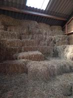 Kleine pakjes hooi, Dieren en Toebehoren, Dierenvoeding, Ophalen, Vee