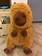 Knuffel capibara te koop NIEUW, Ophalen of Verzenden, Zo goed als nieuw, Overige typen