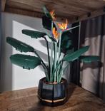 Lego Birds of paradise 10289 met doos!, Ophalen, Zo goed als nieuw